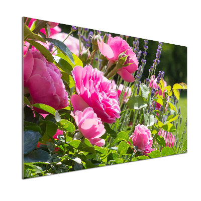 Cooker splashback Wild Rose