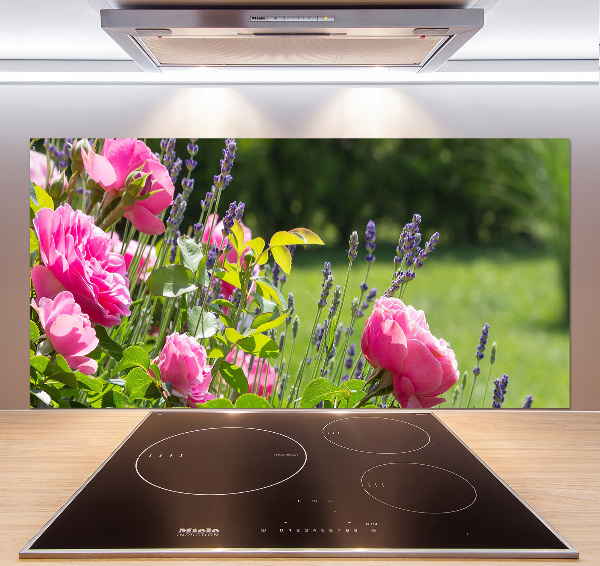 Cooker splashback Wild Rose