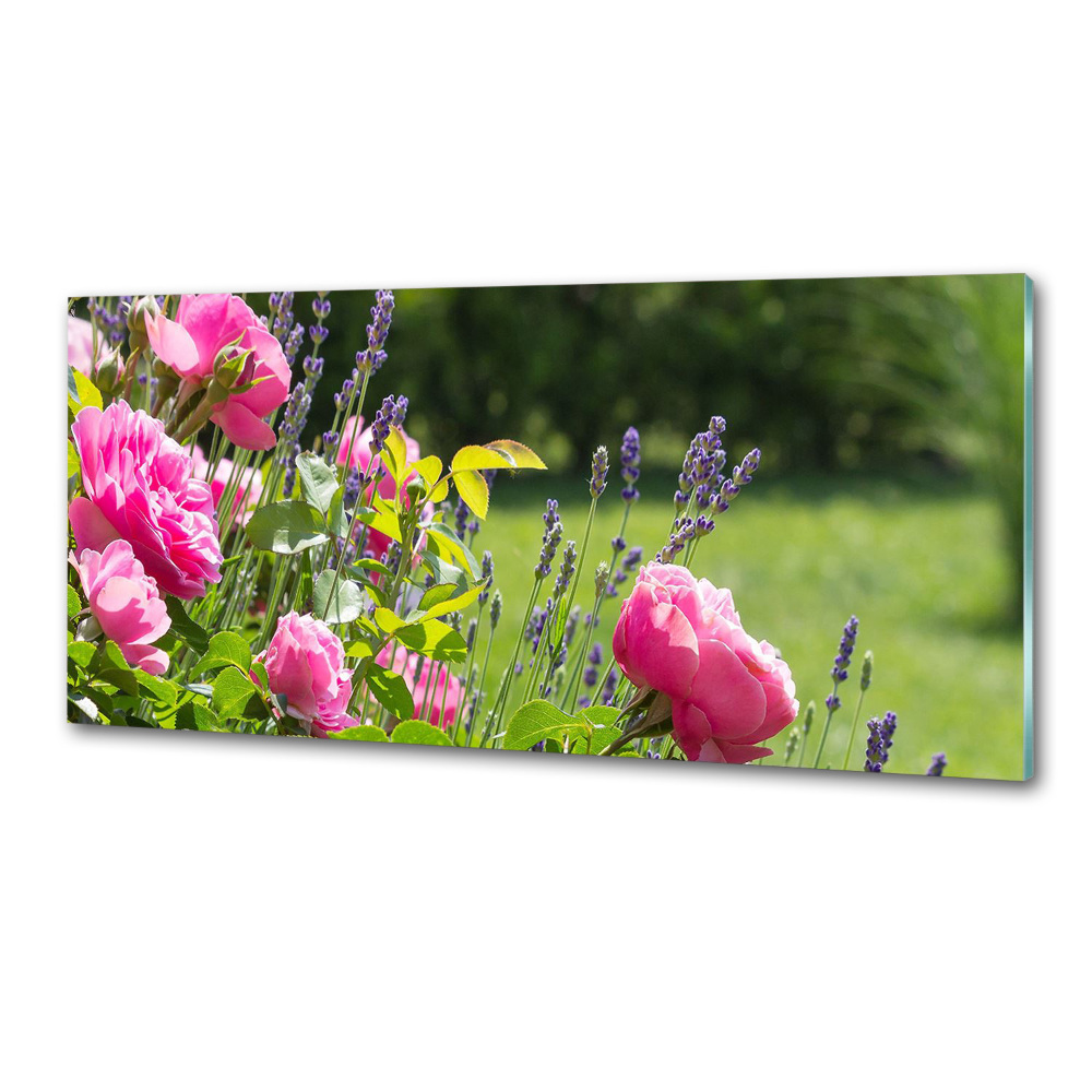 Cooker splashback Wild Rose