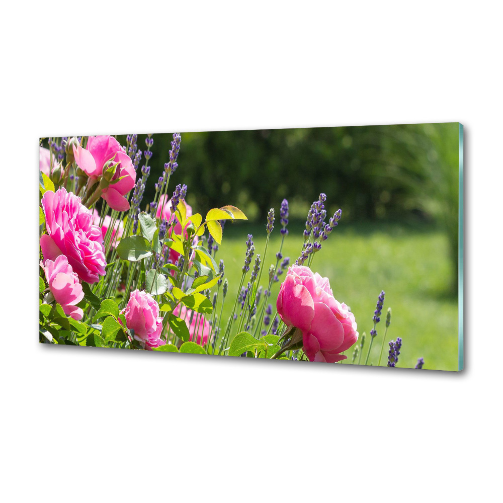 Cooker splashback Wild Rose