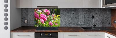 Cooker splashback Wild Rose