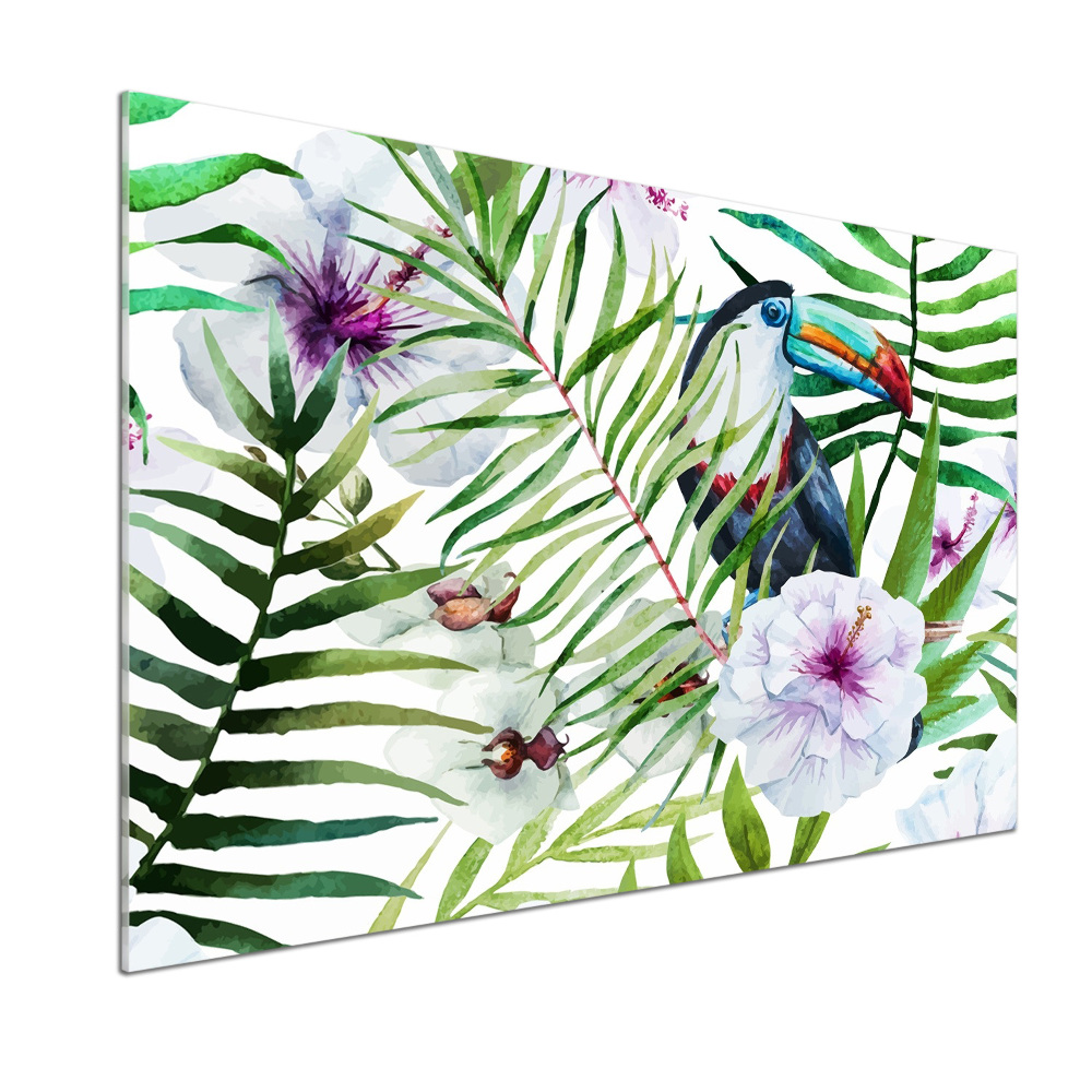 Kitchen splashback Tropics toucan