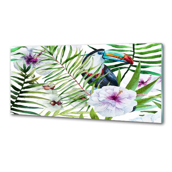 Kitchen splashback Tropics toucan