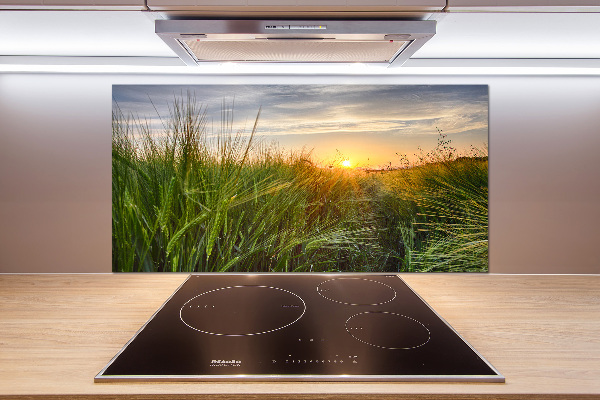 Kitchen splashback Wheat field