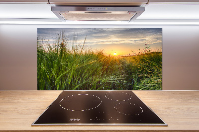 Kitchen splashback Wheat field