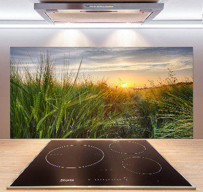 Kitchen splashback Wheat field