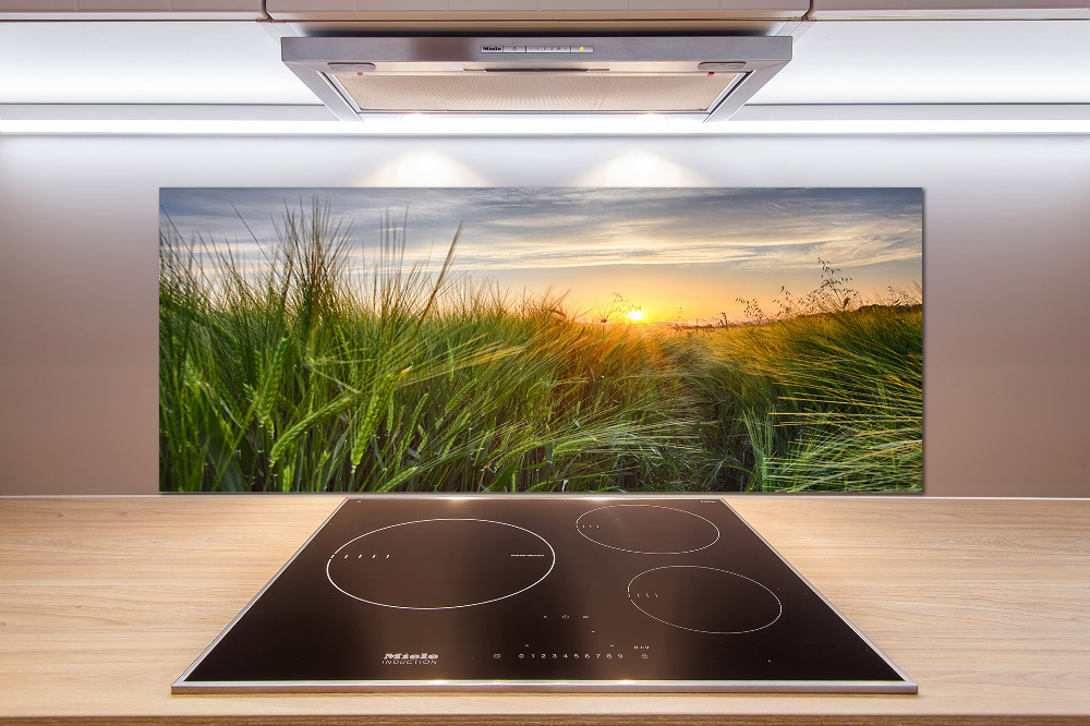 Kitchen splashback Wheat field