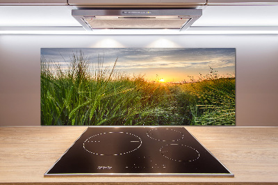 Kitchen splashback Wheat field