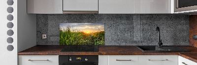 Kitchen splashback Wheat field