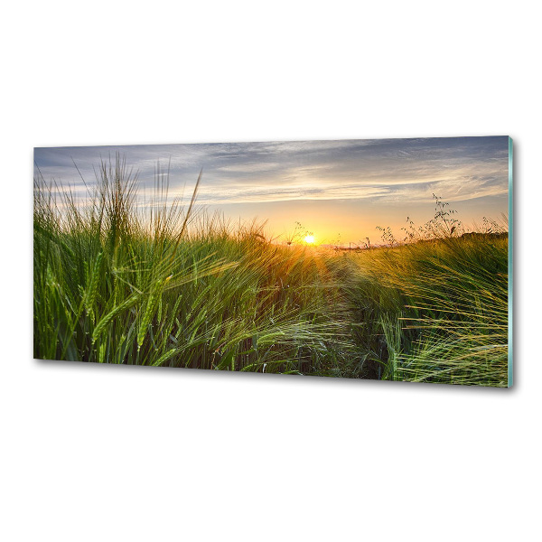 Kitchen splashback Wheat field