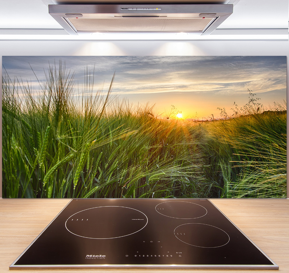 Kitchen splashback Wheat field