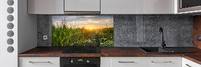 Kitchen splashback Wheat field