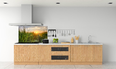 Kitchen splashback Wheat field