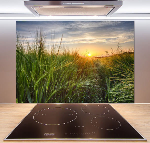 Kitchen splashback Wheat field