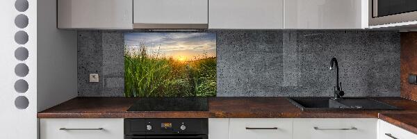 Kitchen splashback Wheat field