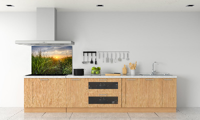 Kitchen splashback Wheat field