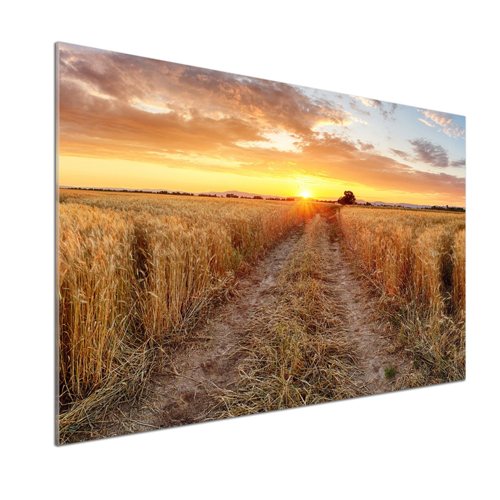 Kitchen splashback Wheat field