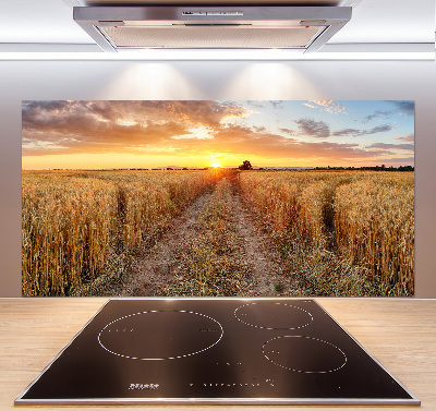 Kitchen splashback Wheat field