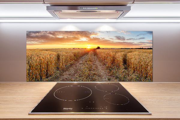 Kitchen splashback Wheat field