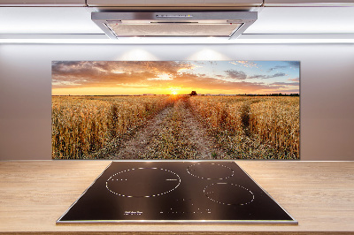 Kitchen splashback Wheat field