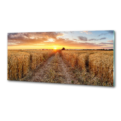 Kitchen splashback Wheat field