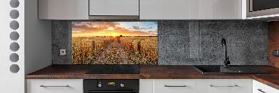 Kitchen splashback Wheat field