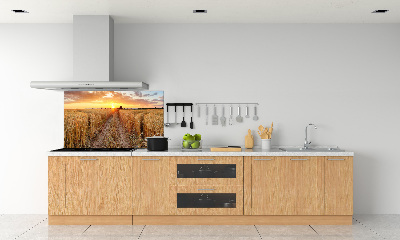 Kitchen splashback Wheat field