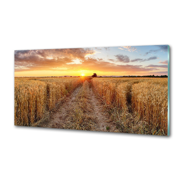 Kitchen splashback Wheat field