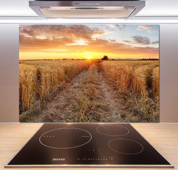 Kitchen splashback Wheat field