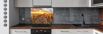 Kitchen splashback Wheat field