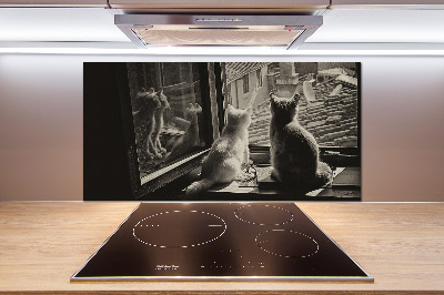 Kitchen splashback Cats by the window