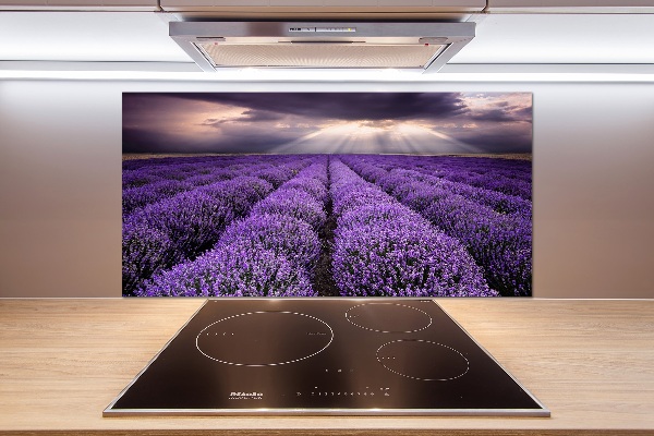 Kitchen splashback Lavender field