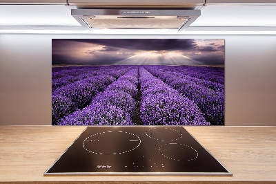 Kitchen splashback Lavender field