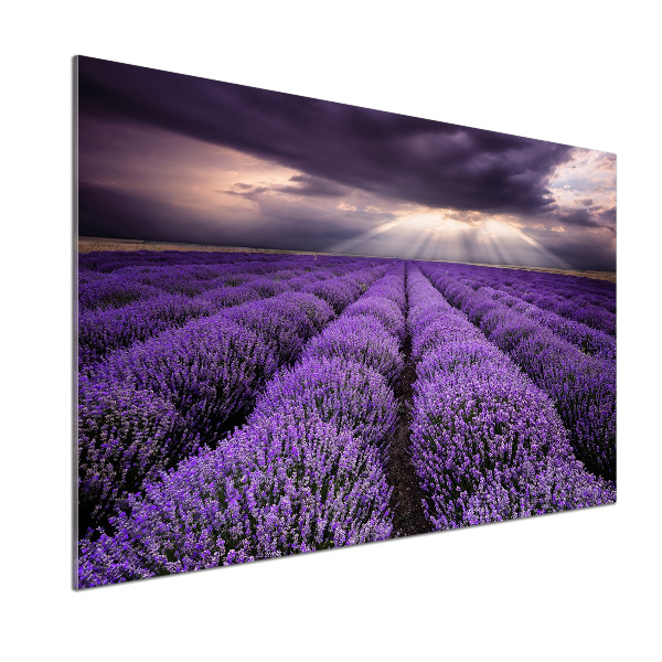 Kitchen splashback Lavender field