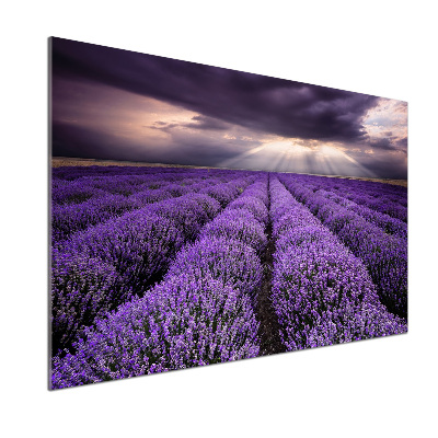 Kitchen splashback Lavender field