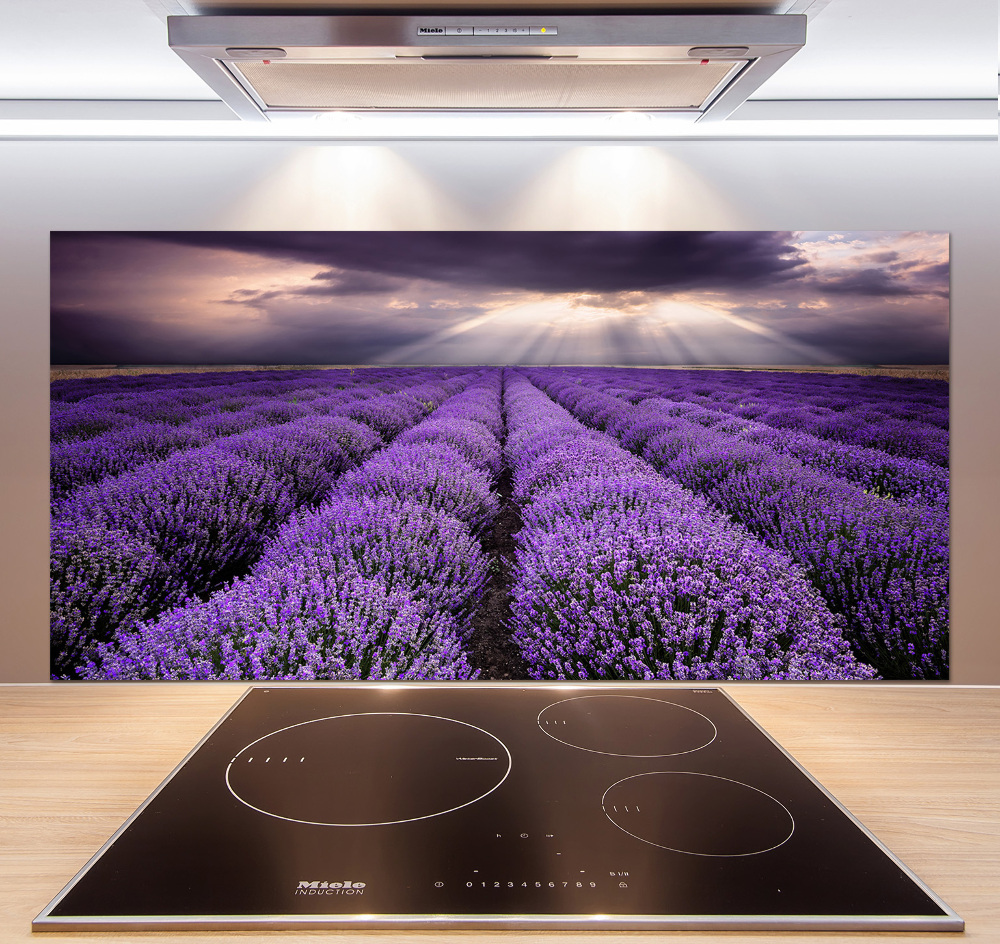 Kitchen splashback Lavender field