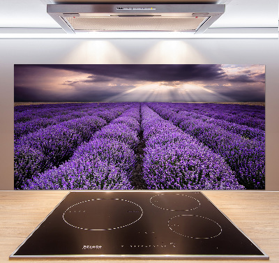 Kitchen splashback Lavender field