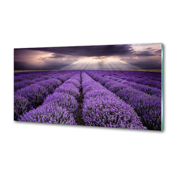 Kitchen splashback Lavender field