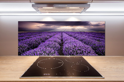 Kitchen splashback Lavender field