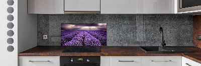 Kitchen splashback Lavender field