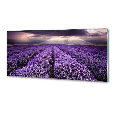 Kitchen splashback Lavender field