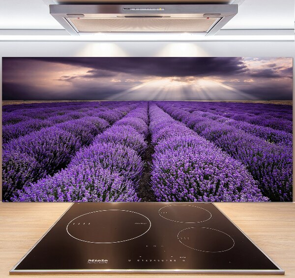 Kitchen splashback Lavender field