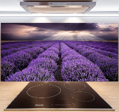 Kitchen splashback Lavender field