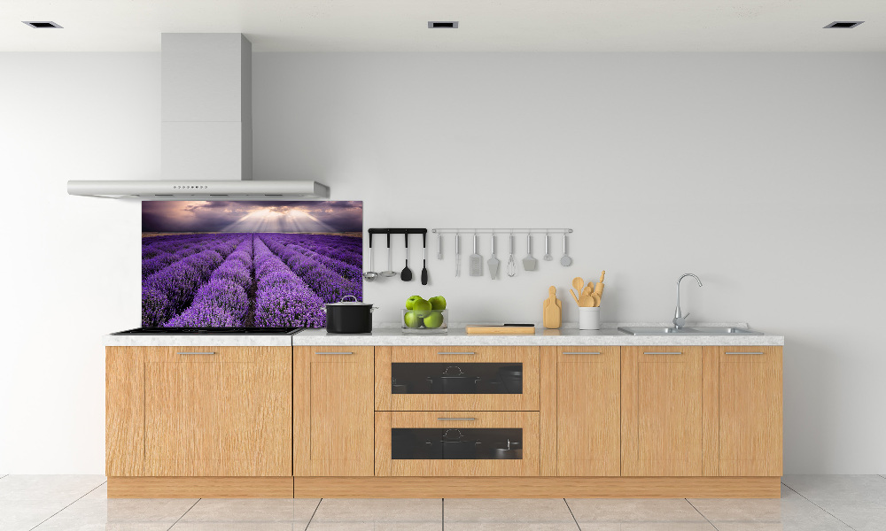 Kitchen splashback Lavender field