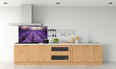 Kitchen splashback Lavender field