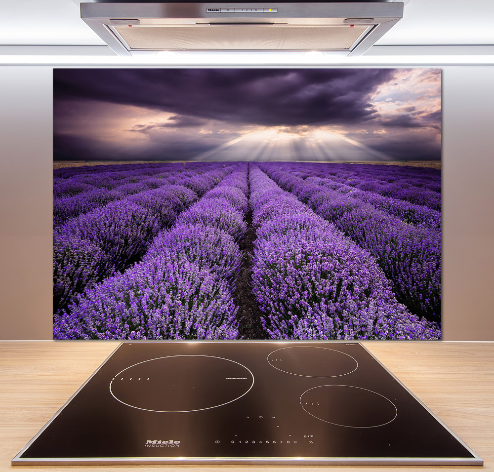 Kitchen splashback Lavender field