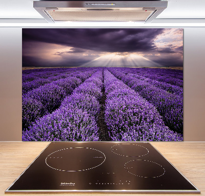 Kitchen splashback Lavender field