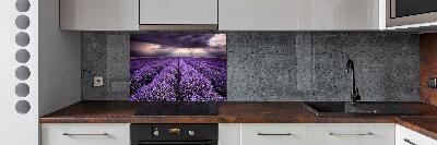 Kitchen splashback Lavender field