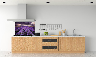 Kitchen splashback Lavender field