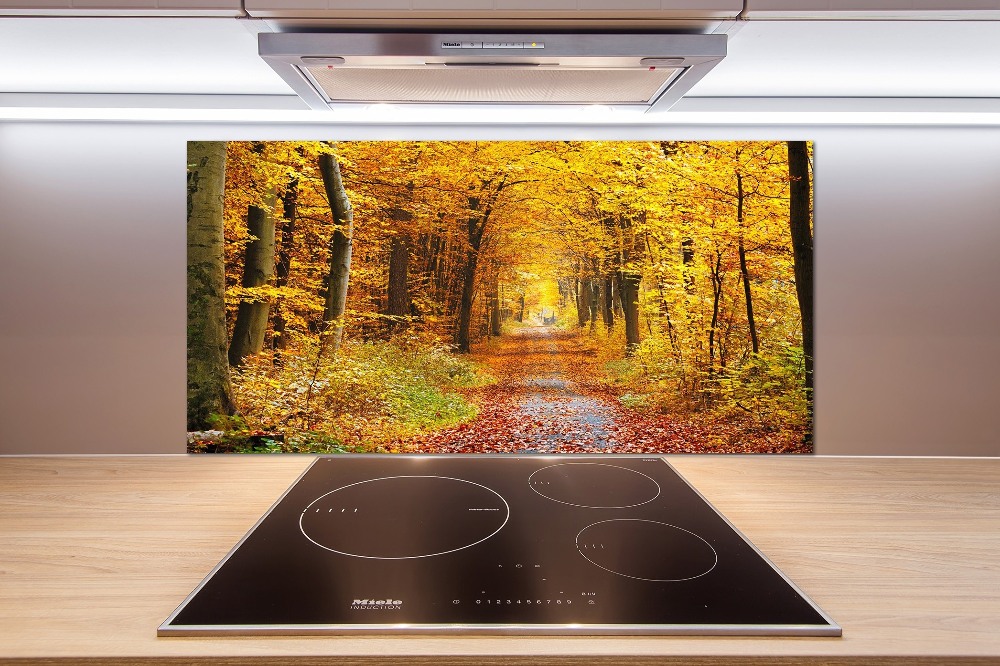 Kitchen splashback Forest in autumn